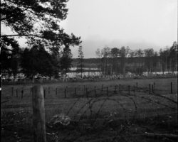 En piktrådsbarriere på Hanko fronten. Foto: SA-Kuva